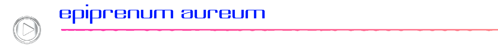 epiprenumaureum