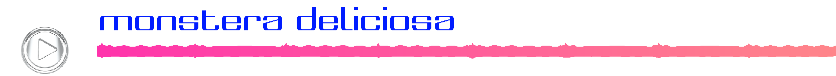 monsteradeliciosa