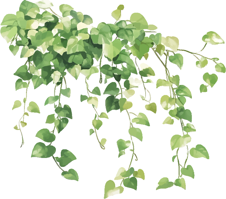 roslina przycieta